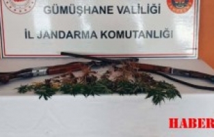 Şiran'da Kenevir Operasyonu