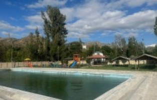 Tek Açık Havuz, Kurbağalara Terk Edildi: