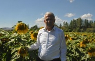 Deneme Amaçlı Ekilmişti; Fabrikası Kurulacak