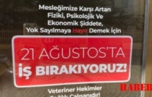 Veteriner hekimler iş bırakıyor