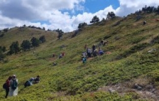 Rize’nin çay bahçesi değil Gümüşhane dağları