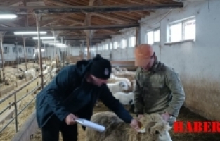 Anaç Koyun ve Keçilerde Önce Kayıt Sonra Destek