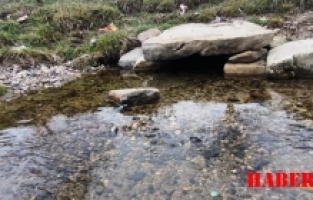 Şiran Merkezde Çıkan Bu Suyun Bir Hikâyesi Var