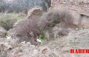 Gümüşhaneli Büyük İslam Âliminin Doğduğu Ev, İhya Edileceği Günü Bekliyor