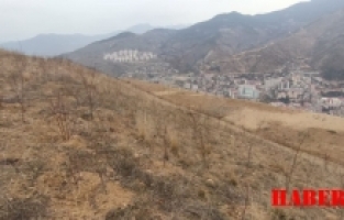 Gümüşhane’nin Başı Dertte