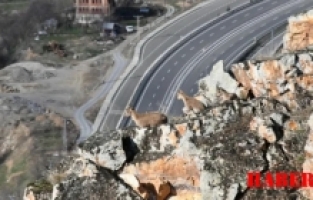 Bu Güzellikleri Görmek Gümüşhane’de Sıradan Oldu: Biz Onları Onlar Bizi İzledi