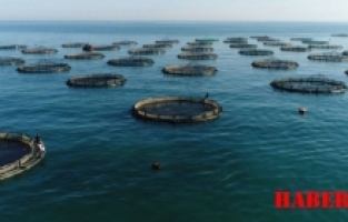 Gümüşhane Bölgede Beşinci Oldu!