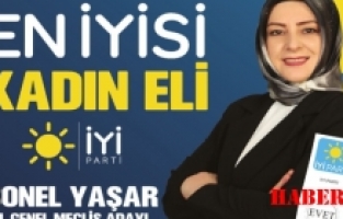 "Gümüşhane'de Siyasete Kadın Eli Değecek"