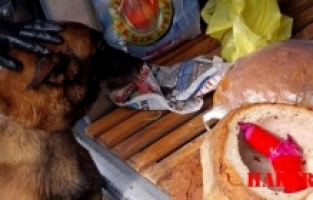 Gümüşhane'nin Meşhur Ekmeğinden Kaçak Silah Çıktı!