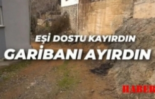 Gümüşhane’de ki Rekabet Kliplere Sıçradı