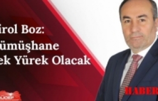 Birol Boz; “Gümüşhane Tek Yürek Olacak”