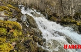 Gümüşhane'nin Gizemli Su Kaynakları: Baharda Çıkıp Yazın Kayboluyor