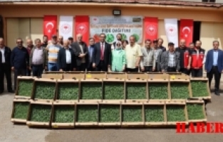 Gümüşhane’de 322 Bin 398 Sebze Fidesi Toprakla Buluşuyor
