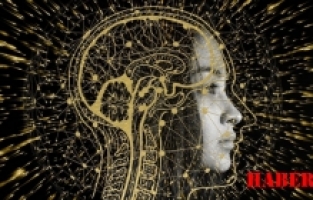 Gümüşhane’nin 81 İl Arasındaki Zekâ Sıralaması Belli Oldu