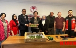 Gümüşhane'de 20 Üreticiye 400 Bin İpek Böceği Larvası Dağıtıldı