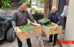Gümüşhane'de Fide Dağıtımları Devam Ediyor!