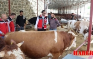 İl Tarım ve Orman Müdürü Kıraç, Kurban Satış Yerlerini Denetledi
