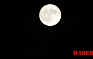 Mersinbalığı Ayı, Gümüşhane’de göz kamaştırdı