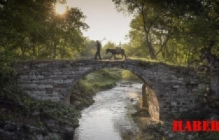 Gümüşhane’nin Adını Fotoğraf Dünyasında Başarıyla Temsil Ediyor, Koleksiyona Bir Ödül Daha