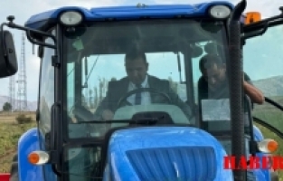 Kaymakam Traktörle Fasulye Hasadı Yaptı