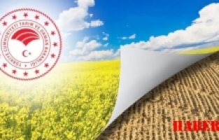 Gümüşhane’de İşlenmeyen Tarım Arazileri Kiraya Verilecek