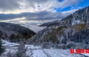 Gümüşhane’de kar ve sis buluştu ortaya tablo gibi bir fotoğraf çıktı