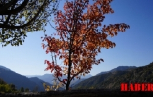 Gümüşhane’nin Zigana Dağı’nda kış ve sonbahar bir arada yaşanıyor