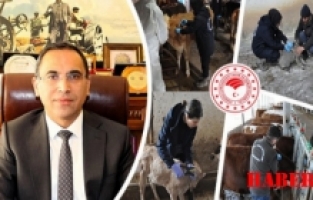 Gümüşhane’de 239 bin 677 hayvan aşılandı