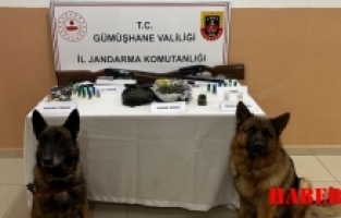 Gümüşhane’de uyuşturucu operasyonunda 1 kişi tutuklandı