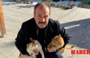 Engelli kediler için destek çağrısı