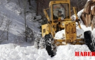 Gümüşhane'de 10 Köy Yolu Kar Yağışı Nedeniyle Ulaşıma Kapandı