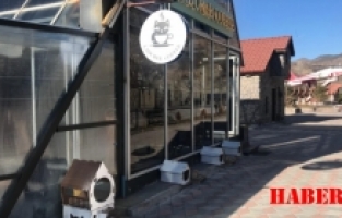 Gümüşhane’de bir ilk: Pati dostu kafe