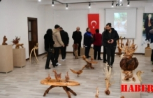 Kurumuş ağaçlar sanatla hayat buluyor