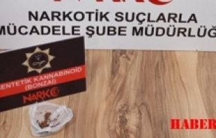 Gümüşhane’de bonzai ele geçirildi