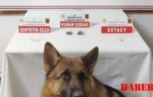 Jandarma, Rize'den Gümüşhane'ye uyuşturucu getirenleri yakaladı