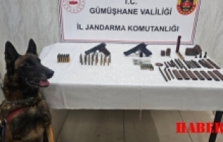 Kürtün’de kaçak silah operasyonu