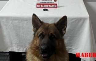 Jandarma’dan uyuşturucu operasyonu