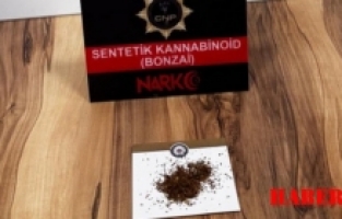 Gümüşhane’de bonzai ele geçirildi