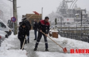Gümüşhane’de kar yağışı etkili oldu