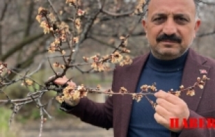 Anahtar Parti Gümüşhane İl Başkanı Kaya Yaşanan Don Olaylarını Değerlendirdi; Toprak Dondu, Emek Dondu