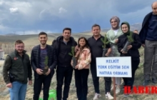 Kelkit Türk Eğitim-Sen Öğretmenleri, Doğaya Fidan Dikerek Geleceğe Umut Oldu