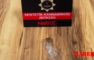 Gümüşhane’de bonzai ele geçirildi