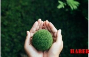 Karbon Ayak İzi Nasıl Hesaplanır? En İyi Hesaplama Aracı