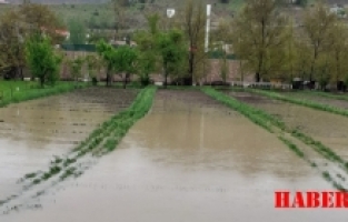 Kaya’dan ıslah tepkisi: Vatandaşın emeği hiçe sayıldı
