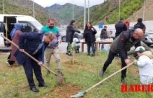 Minik Eller Geleceğe Nefes Oldu: Torul’da “Dostluk Ormanı” Kuruldu