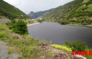 Torul Baraj Gölü'nde alg patlaması