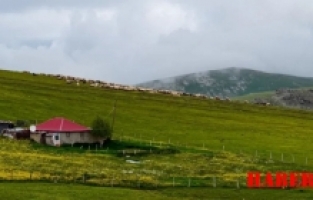 Gümüşhane'de Kar Sularının Oluşturduğu Menderesler ve Koyun Sürüleri Görsel Şölen Oluşturdu
