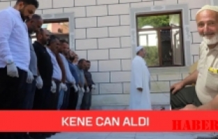 Gümüşhane’de kene can aldı: 68 yaşındaki adam hayatını kaybetti