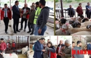 Kıraç'tan hayvan alıcılarına tavsiyeler