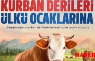 Ülkü Ocakları kurban derilerine talip oldu